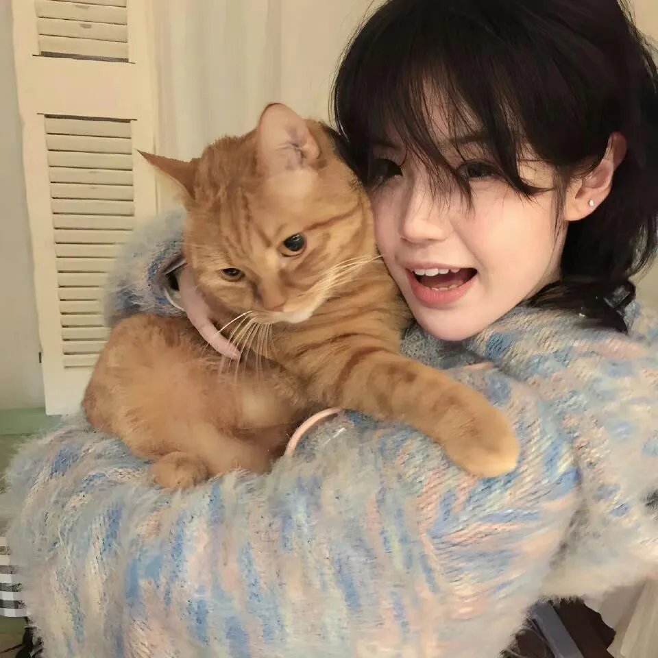 斗破苍穹3：除恶